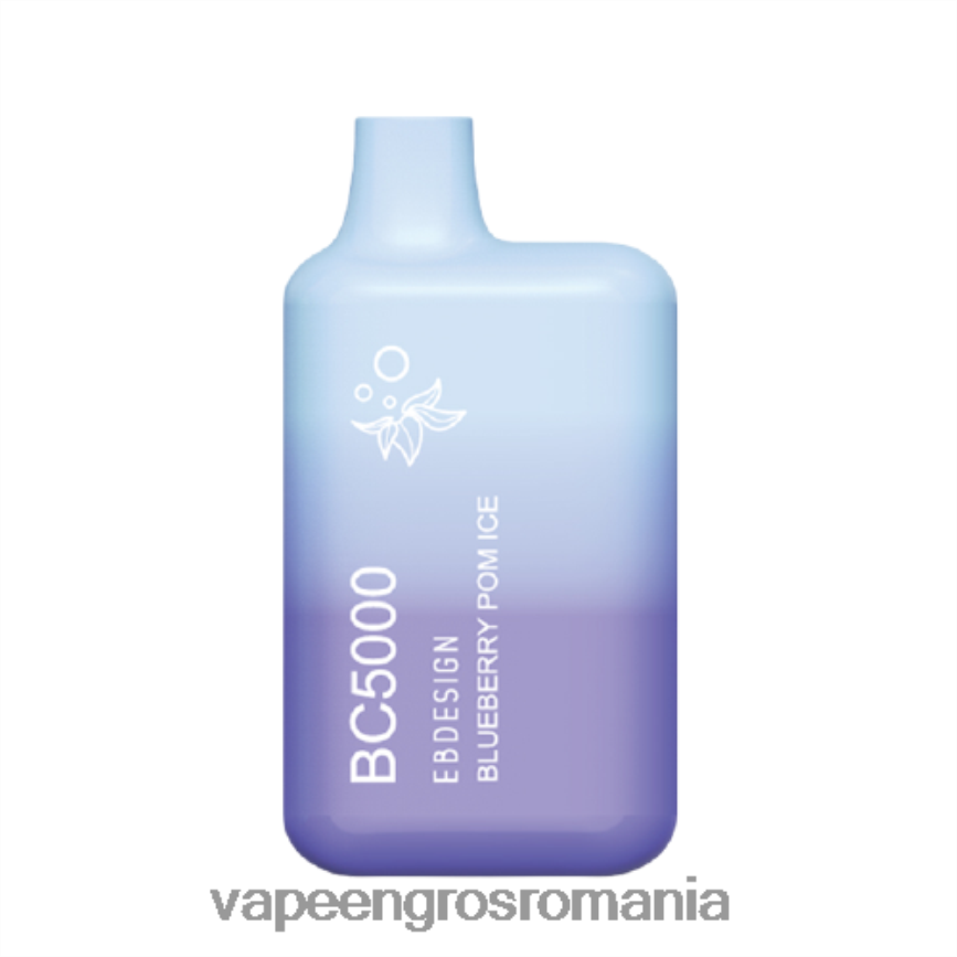 Vape Reincarcabil gheață cu afine N48BL299 ELFBAR BC5000