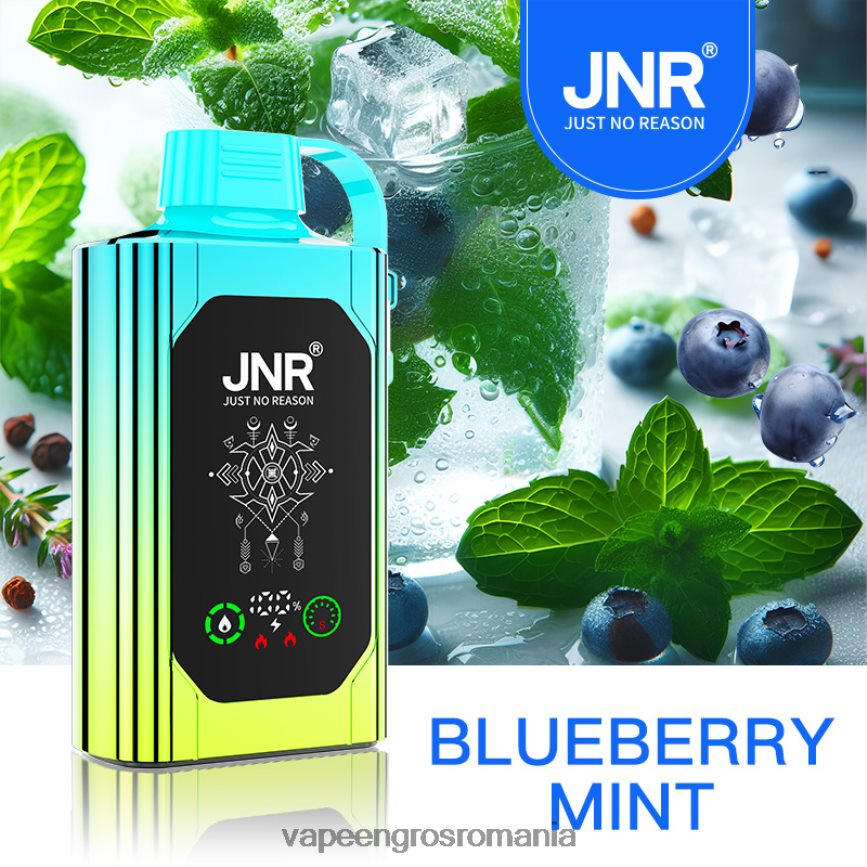 Vape Fara Nicotina mentă de afine N48BL618 JNR SHISHA BOX