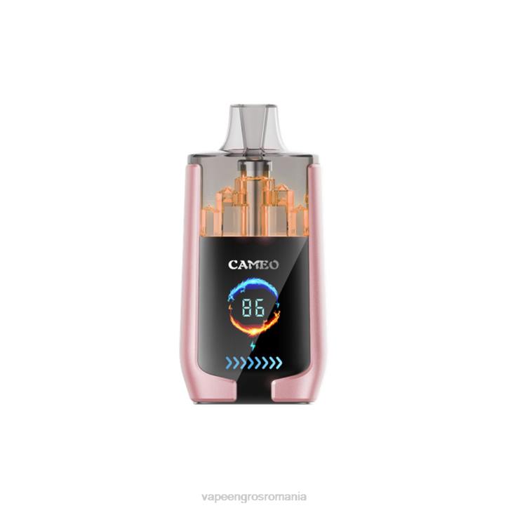 LAVIE CAMEO 30000 de pufuri 8BXF19 | Vape Angro fructe tropicale