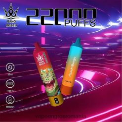 Bang Beach Ecran inteligent de 22000 puf F6Z6V24 - Vape Angro piersici mango