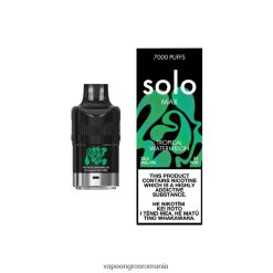 Puff Vape En Gros 2T22TP82 - Solo MAX păstaie pepene tropical