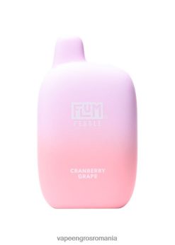 struguri de afine FLUM PEBBLES 6000 pufuri 6J2HRX27 Țigară Electronică Cu Lichid