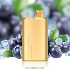 Vape Angro Z4FPZ3 Alibarbar Rich 8000 vape de unică folosință gheata de afine