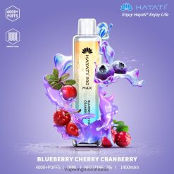 Vape En-Gros Romania afine cireș merișor N48BL151 Hayati Pro Max 4000