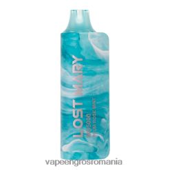 Vape En-Gros Romania prune trandafir mentă N48BL531 LOST MARY MO5000