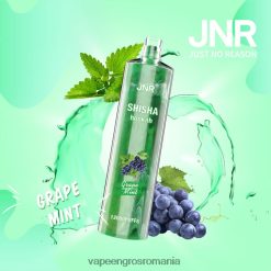 Vape Fara Nicotina menta de struguri N48BL678 JNR SHISHA