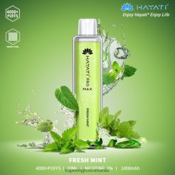Vape Fara Nicotina menta proaspata N48BL158 Hayati Pro Max 4000
