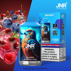 Vape Reincarcabil afine zmeura cirese N48BL699 JNR FALCON