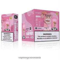 Vape Reincarcabil gheata de pepene verde N48BL139 Bang Box 15000